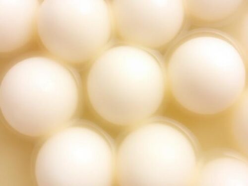 Pristine white, spongy rasgulla balls soaking in a light, clear sugar syrup, garnished with a hint of saffron